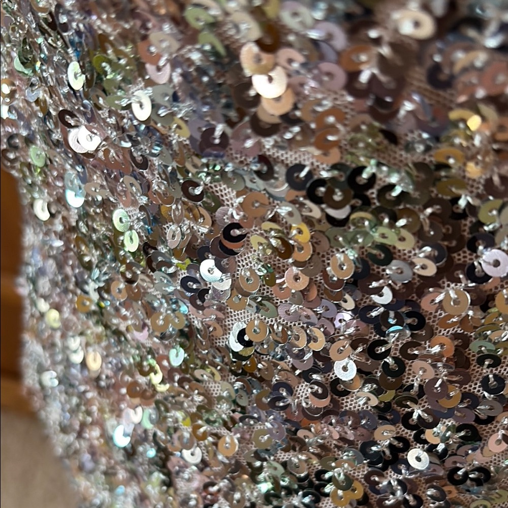 Silver Sequin Mini Dress - Picture 9 of 9